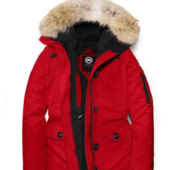 Jacket - Picture 1 of 4